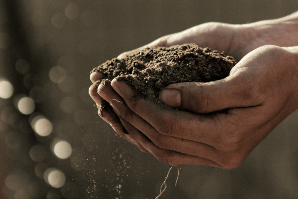 This soil in this persons hands is perfect for planting and isn't dense.