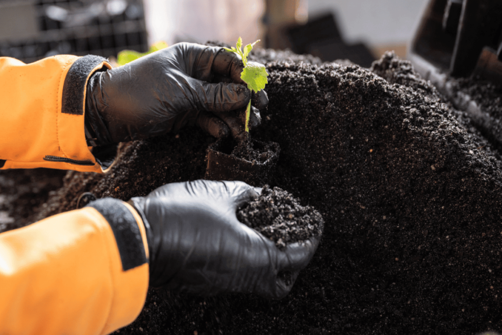 Discover how to maximize soils potential, here is a pile of soil getting mixed for propagating plants.