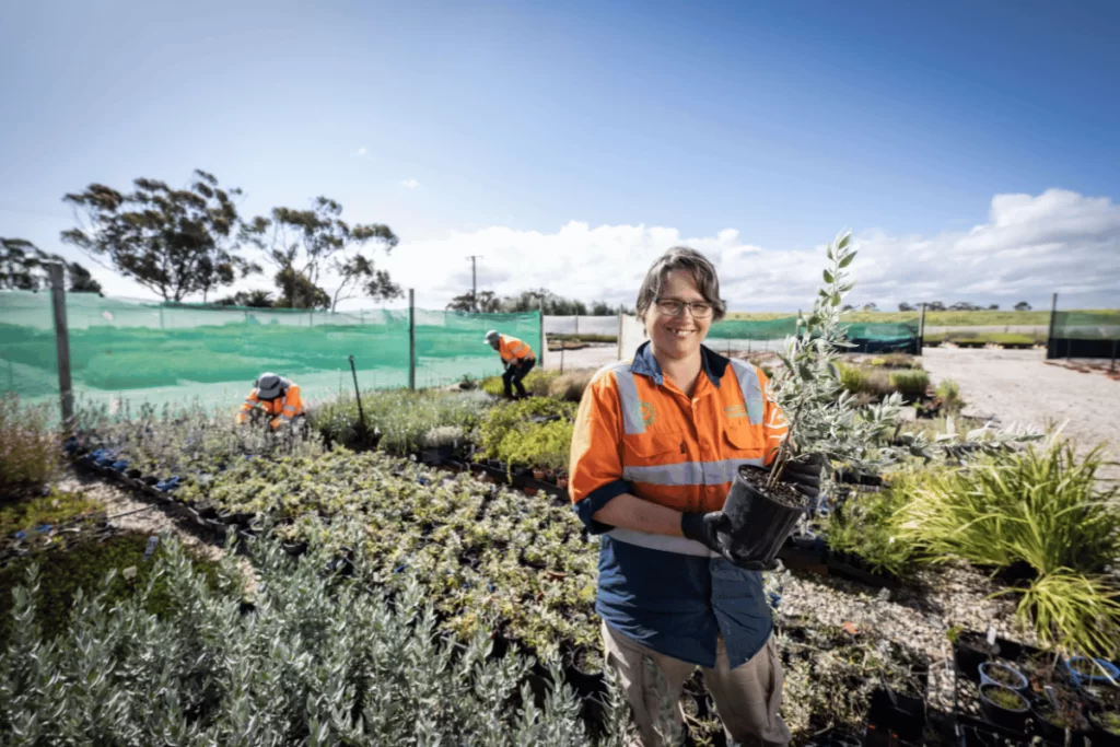 the ecoDynamics nursery which shows large amounts of indigenous plants