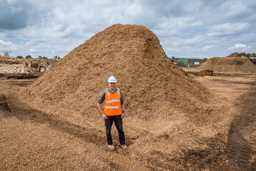 Shows a huge pile of recycled timer to show how much mulch we make