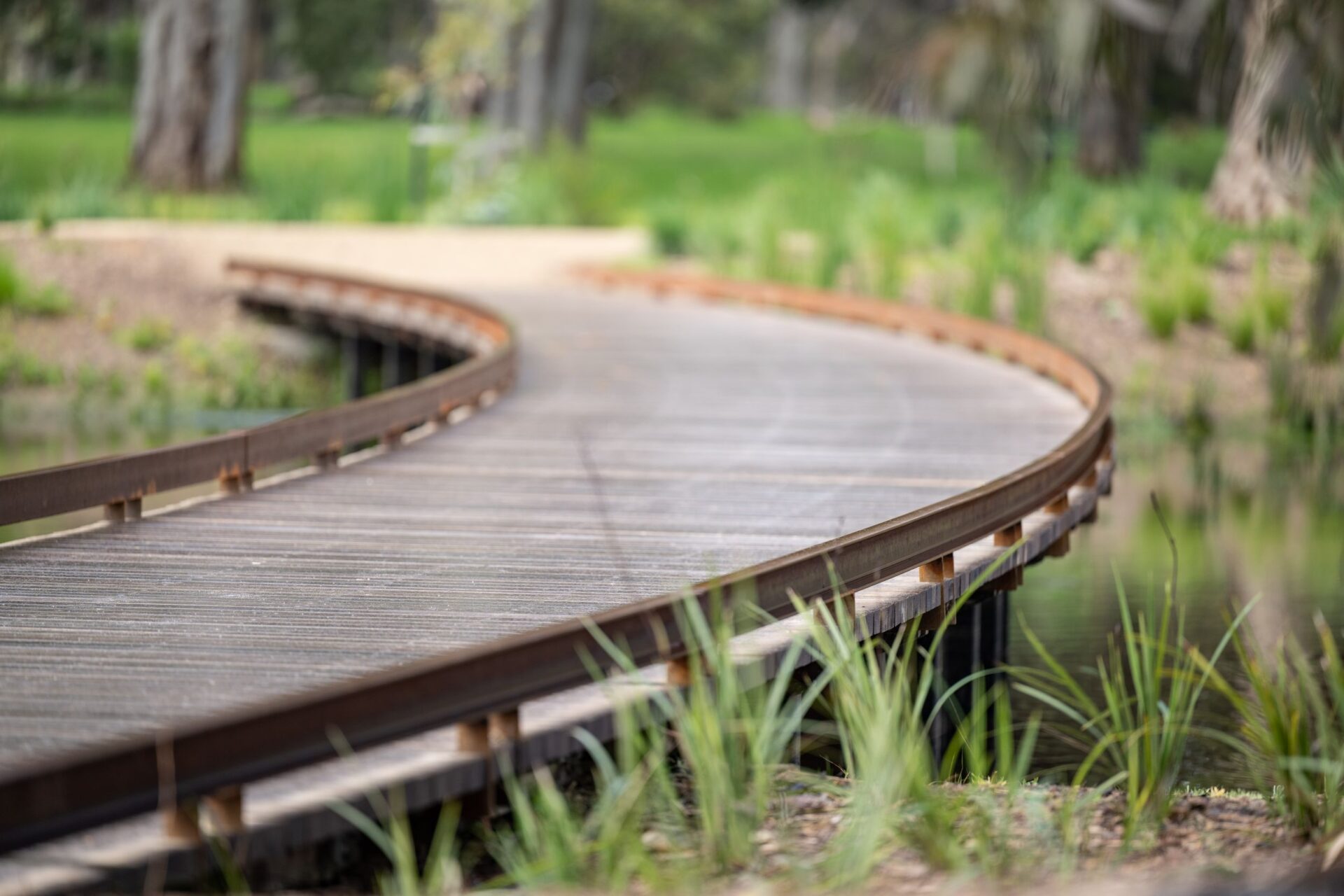 South Parklands boardwalk