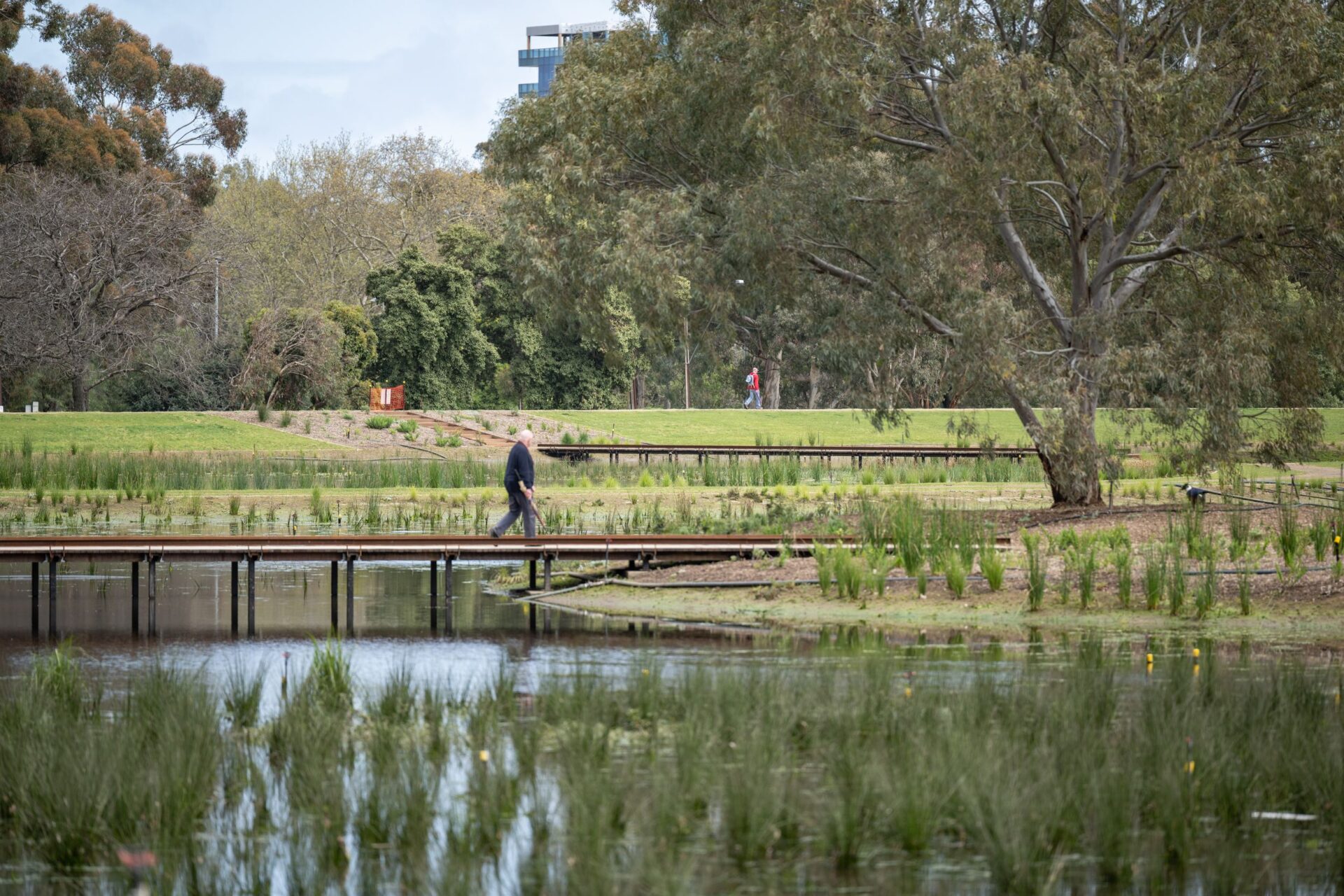 South Parklands Project landscaping