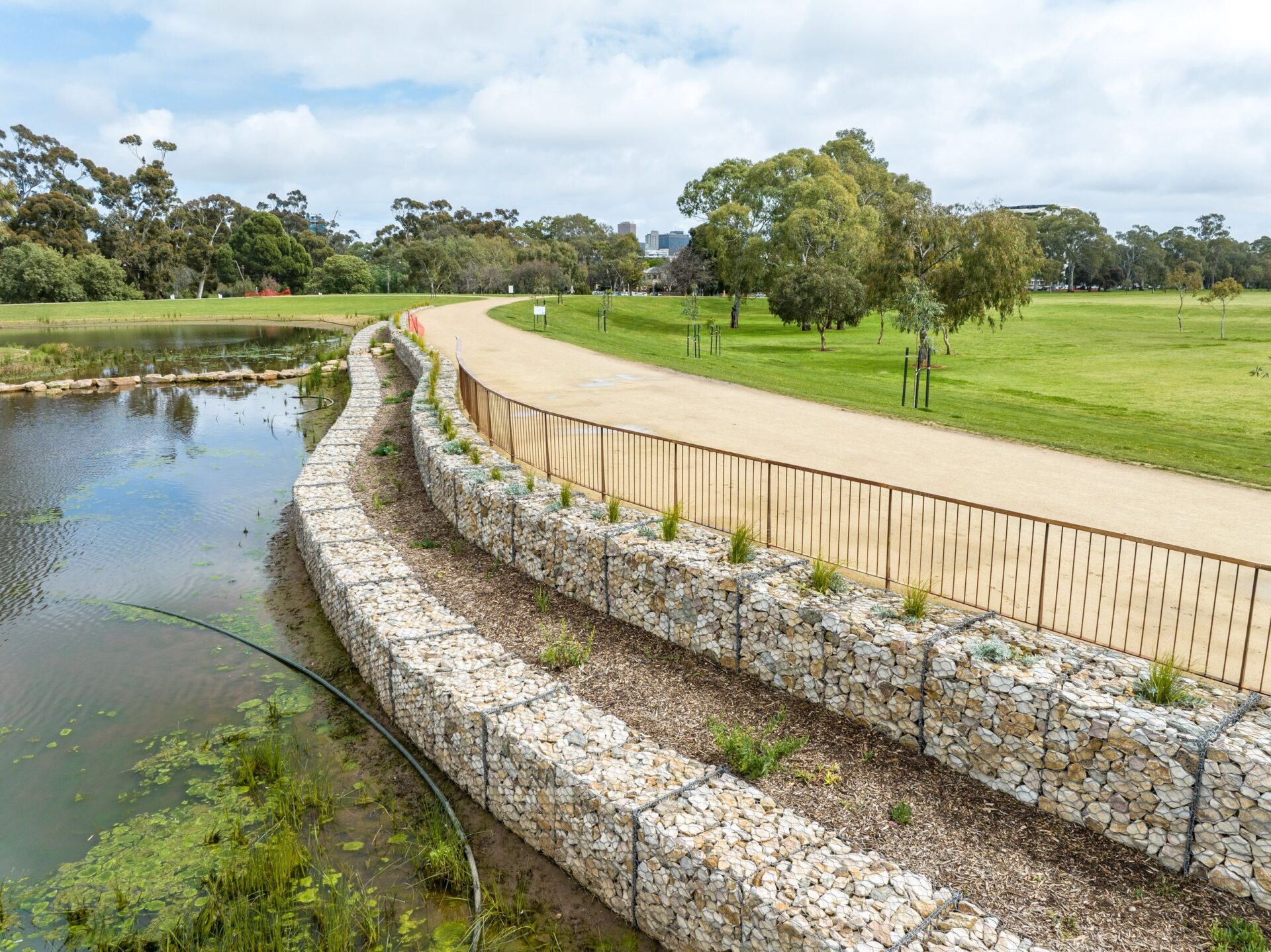 South Parklands Project plantings by the lake