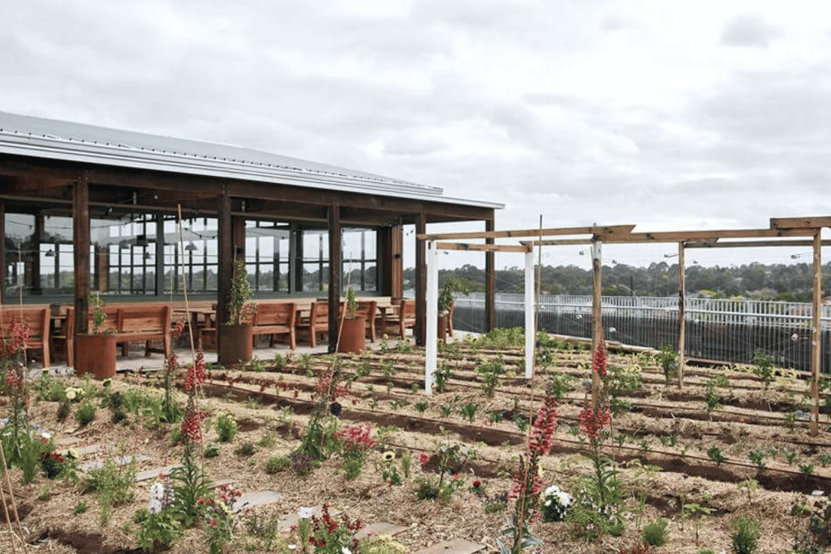 Before ecoDynamics blew in soil