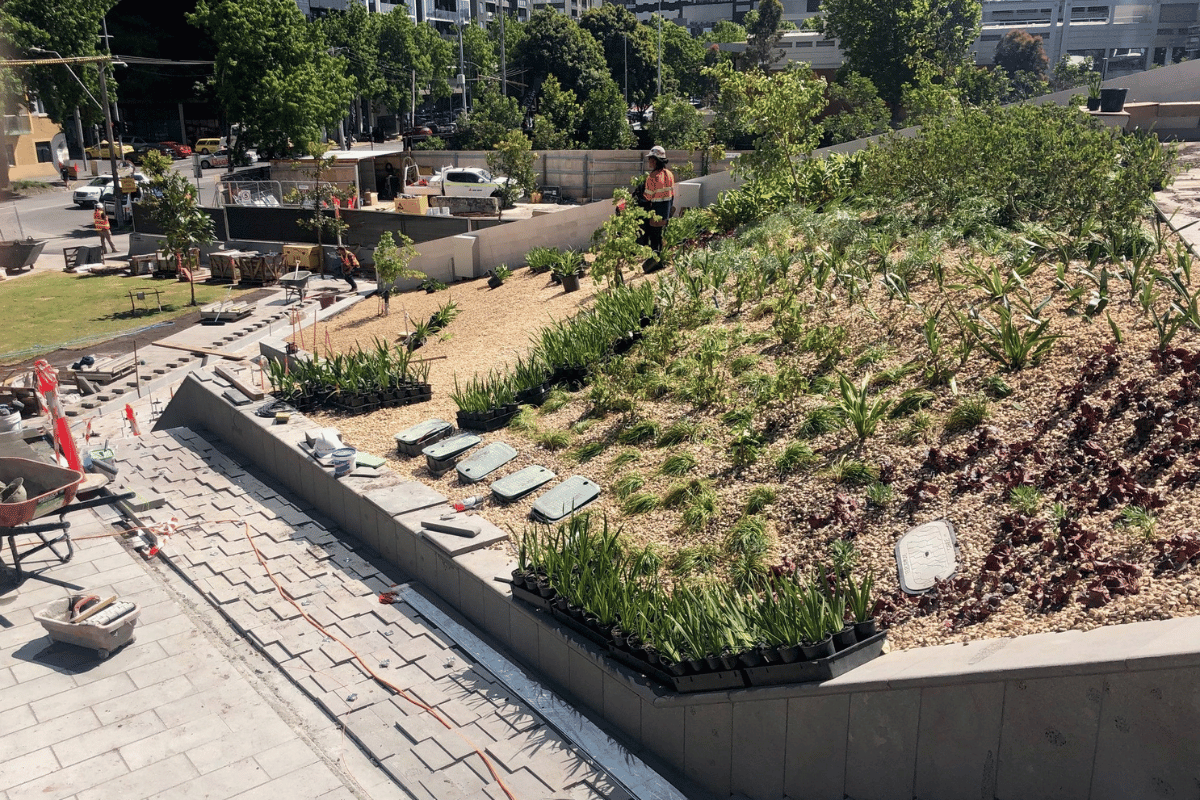 Landscaping at Melbourne Square