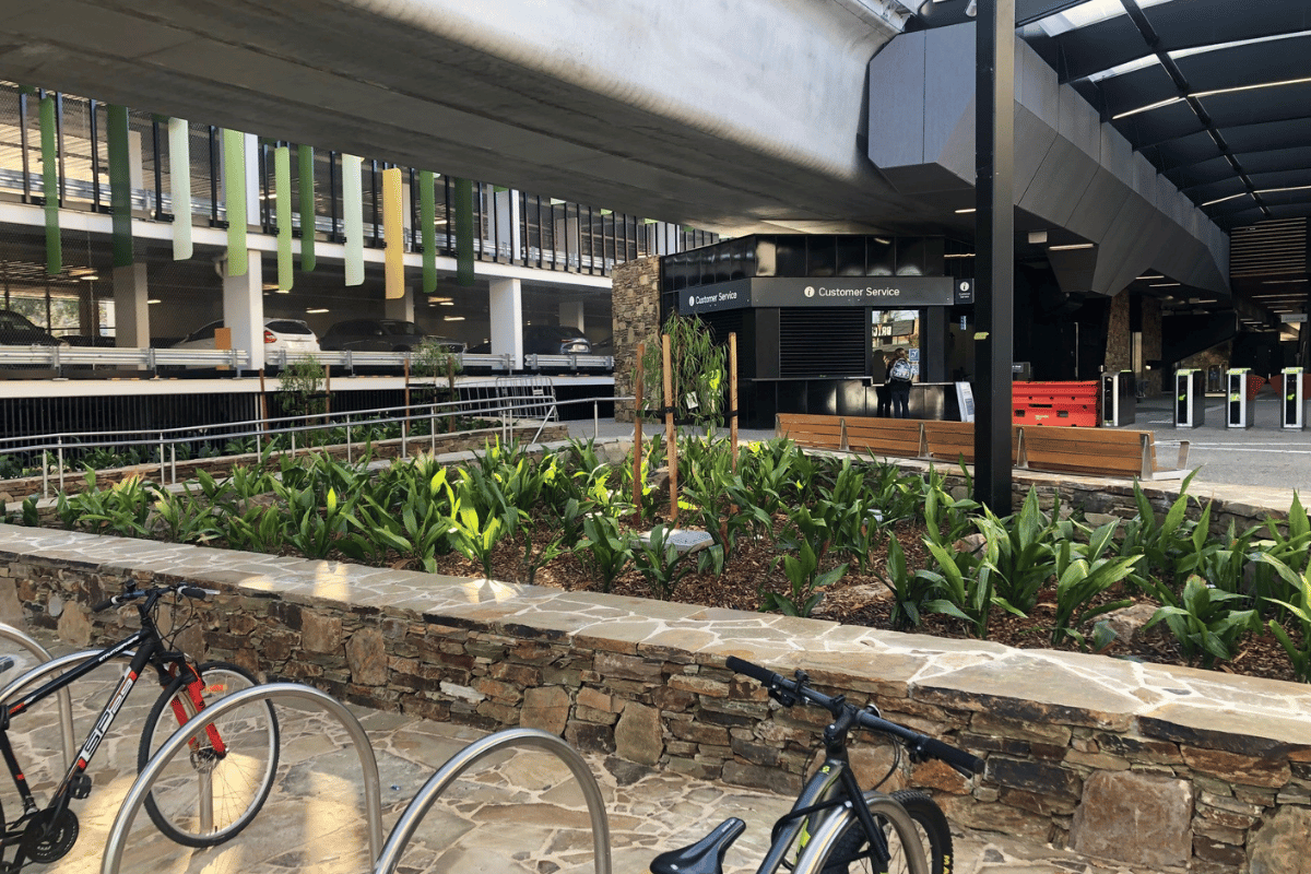 ecoDynamics landscaping at the level crossing removal project.