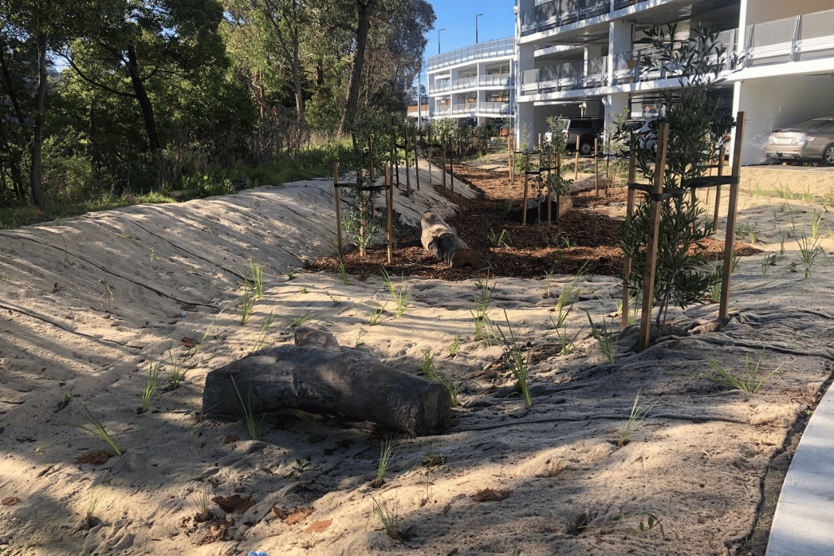 Construction works at the ecoDynamics landscaping at the level crossing removal project.