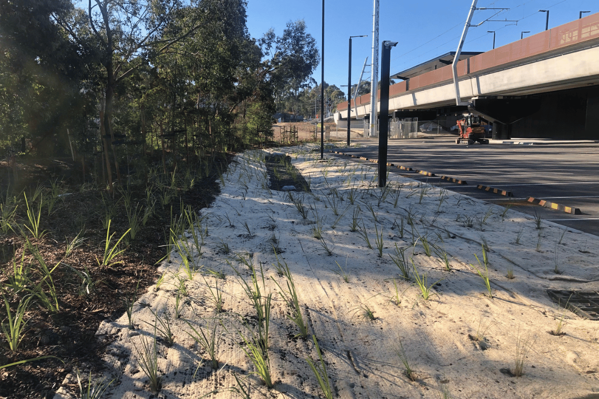 Plantings at the level crossing removal project.