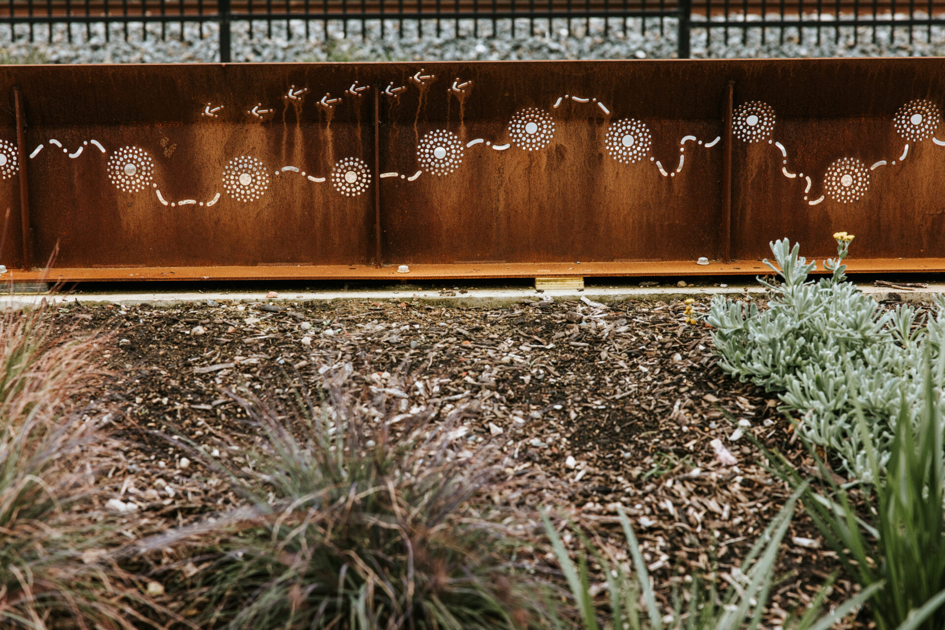 Picture of the Tonsley Wetlands Project