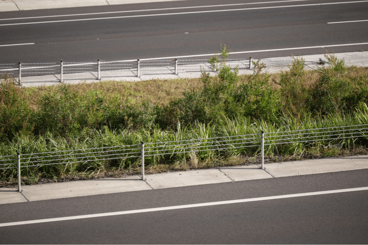 Overhead view of the Albion Park bypass's gorgeous native plants plated by ecoDynamics