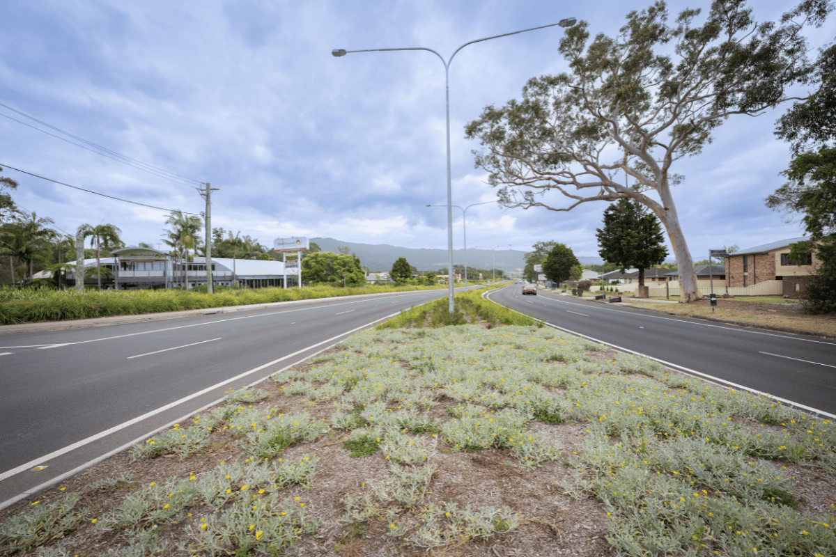 Berry to Bomaderry grass on the side of the road