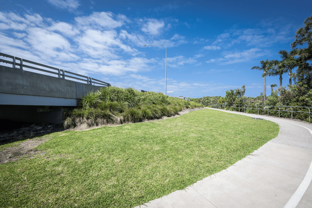 Grass and plantings on the Burrill Lake Bridge Project