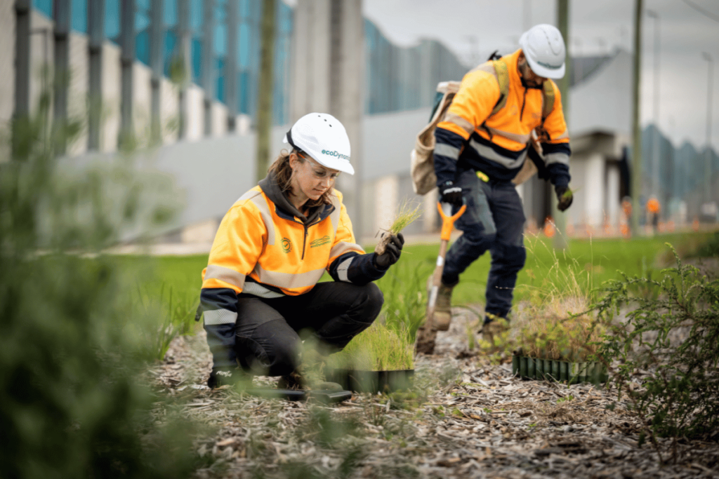 EcoDynamics workers completing landscape maintenance