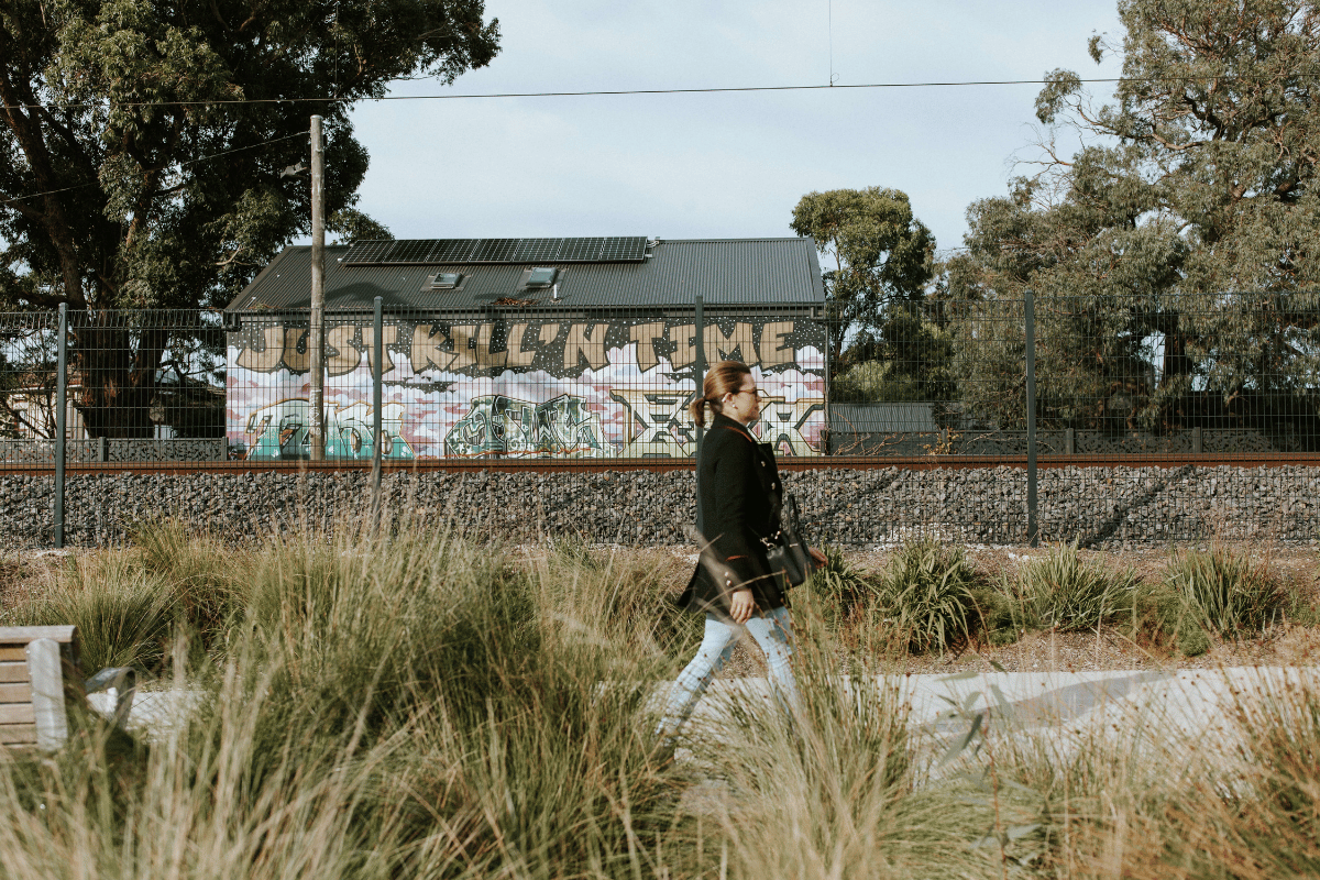 Native shrubs planted by ecoDynamics