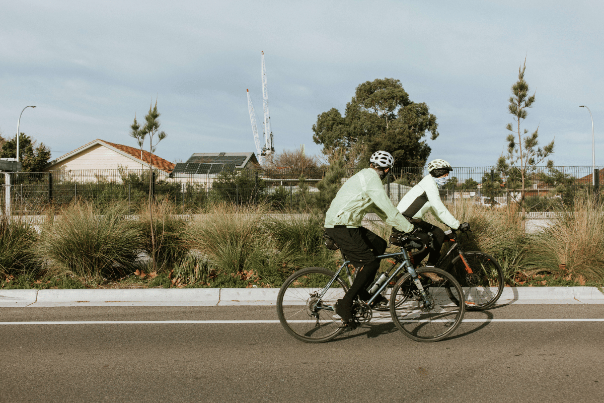 Australian native shrubs and plants by the Grange Road Level Crossing Removal project