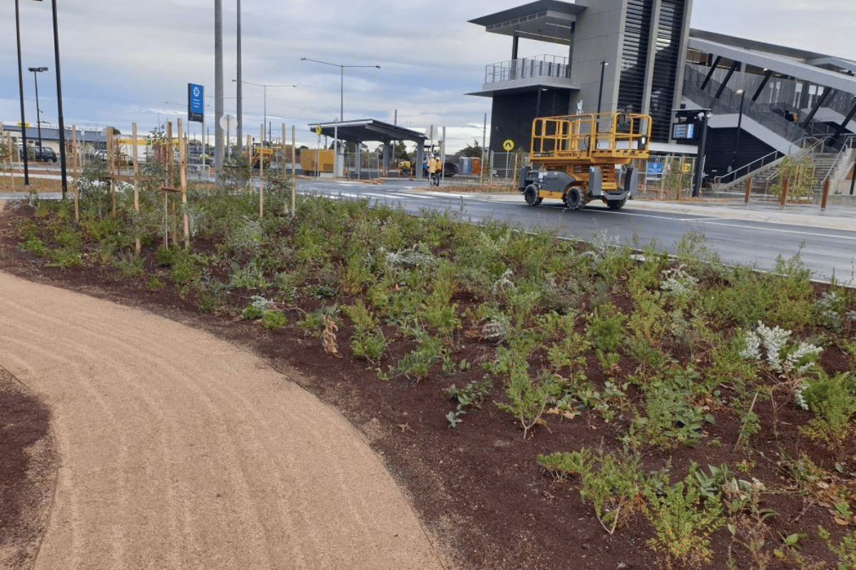 Landscape design coming together at the Old Geelong Road Rail Project