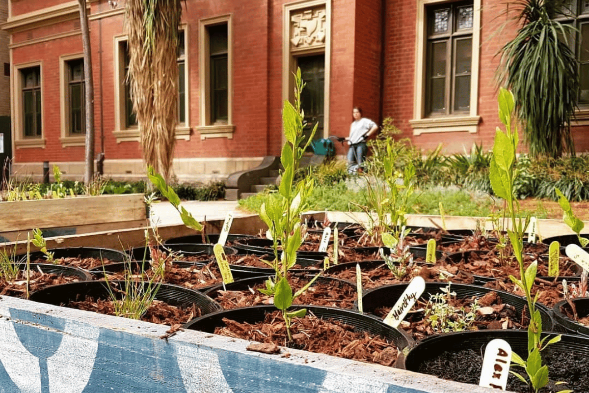 The Living Pavilion native plants display