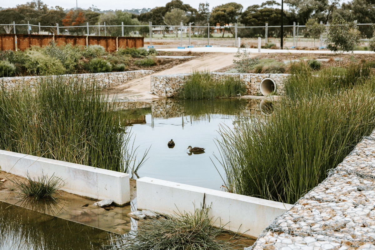 Tonsley Wetlands Project landscaping