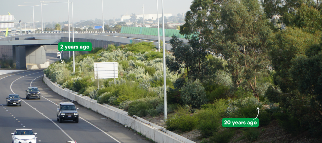 M80 Ring Road
