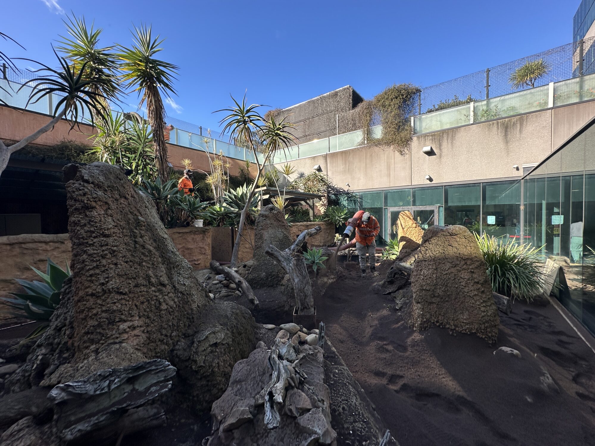 The RCH Meerkat Enclosure Soil Blowing Project | ecoDynamics