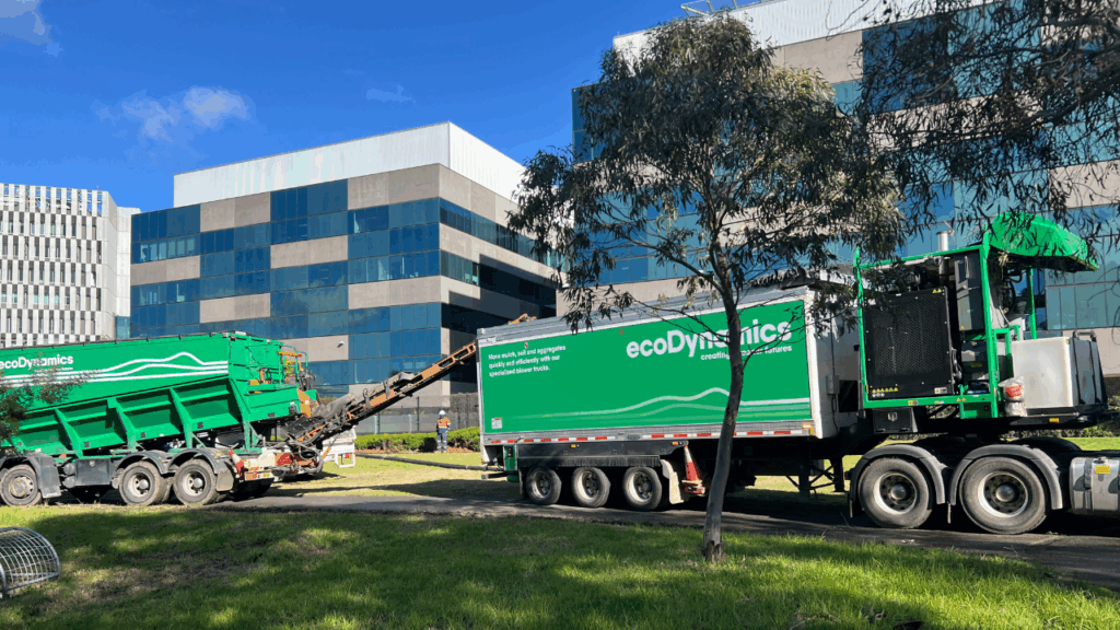 The RCH Meerkat Enclosure Soil Blowing Project | ecoDynamics